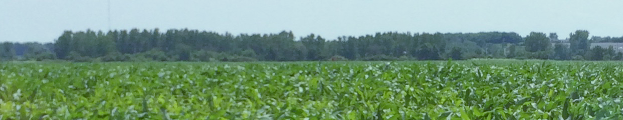 Cornhuskers On Comedy